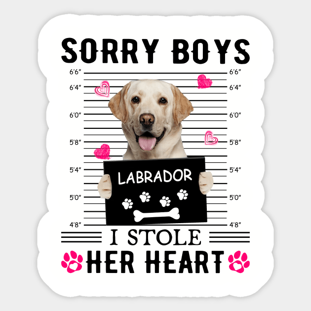 Yellow Labrador Sorry Boys I Stole Her Heart Valentine Sticker by PlumleelaurineArt